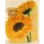 Tároló üveg 400 ml - margaréta 